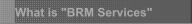 What is "BRM Services"